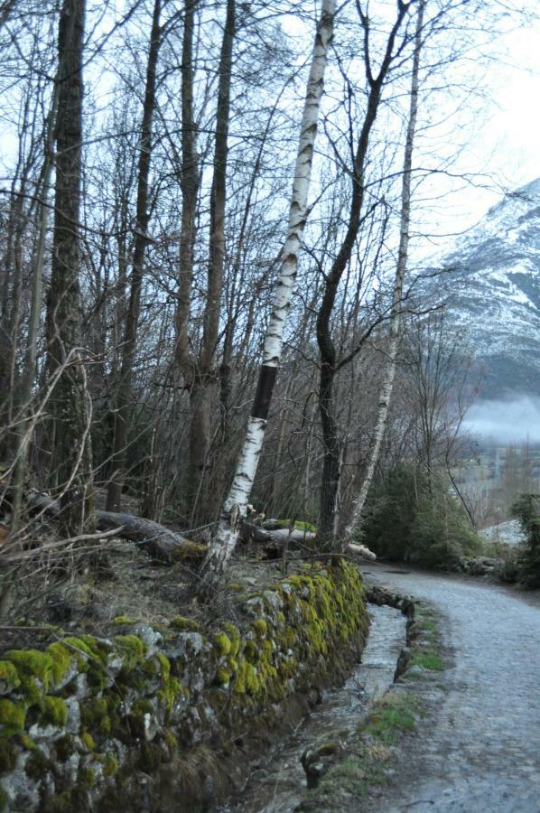 Residencial Valle De Benasque Εξωτερικό φωτογραφία